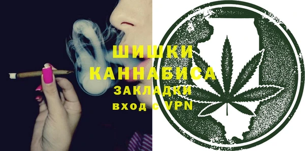 apvp Няндома