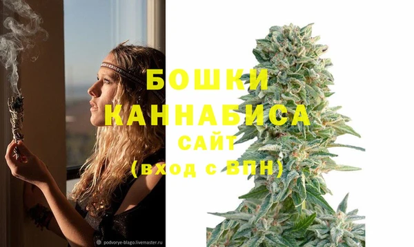 СК Аркадак