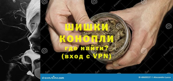 твердый Дмитриев